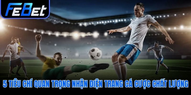 Năm tiêu chuẩn cốt yếu để đánh giá một nhà cái đáng tin