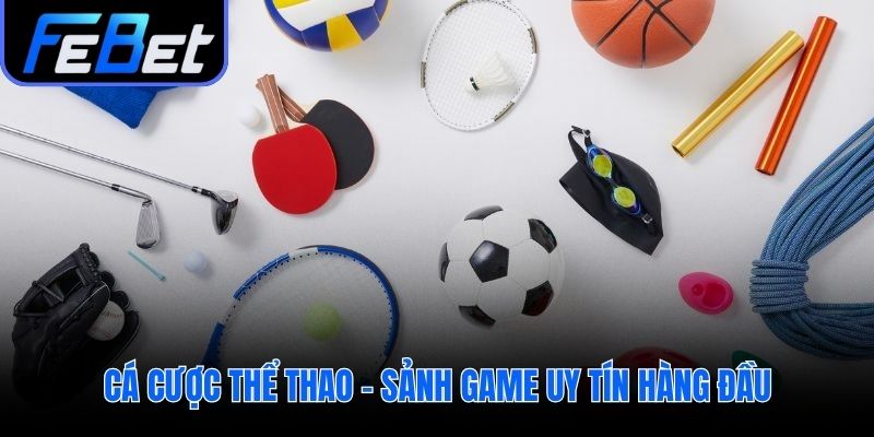 Không gian giải trí chuyên nghiệp cho cá cược thể thao