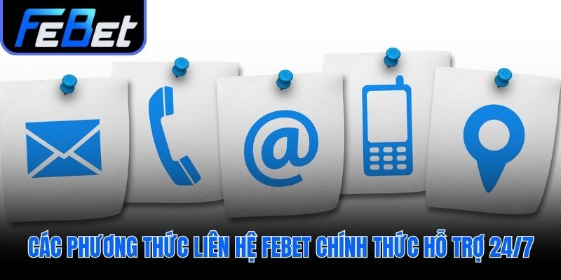 Các kênh liên hệ febet chính thức cho mọi nhu cầu