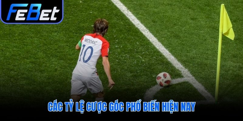 Phân biệt kèo Tài Xỉu Chấp và 1X2 góc