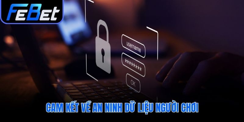 Chính sách bảo mật xây dựng cam kết an ninh dữ liệu vững chắc