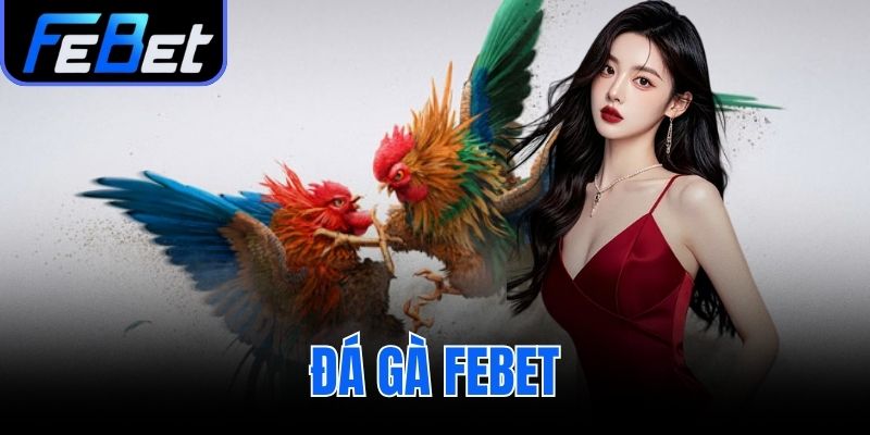 Đá Gà febet