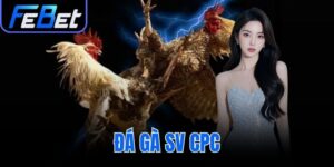 đá gà SV CPC