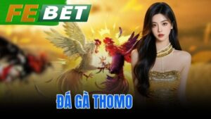 Đá gà Thomo