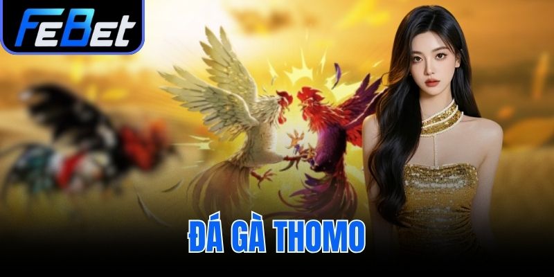 đá gà Thomo