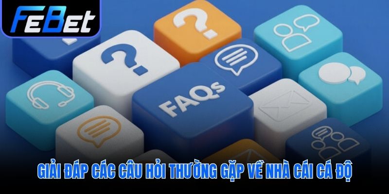 Trả lời những câu hỏi thường gặp giúp người chơi tự tin