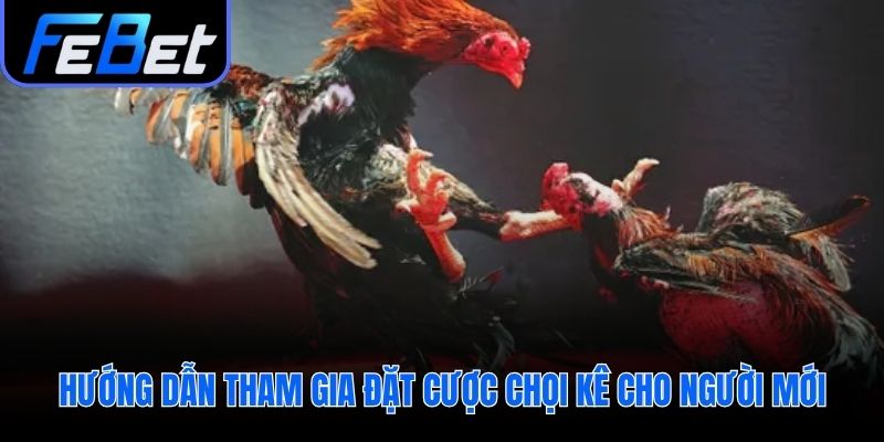 Hướng dẫn đặt cược nhanh chóng qua bốn bước đơn giản