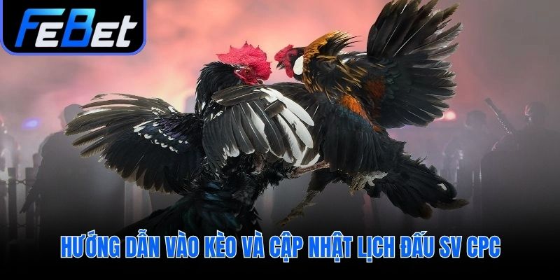 Quy trình ba bước vào kèo và xem lịch đấu