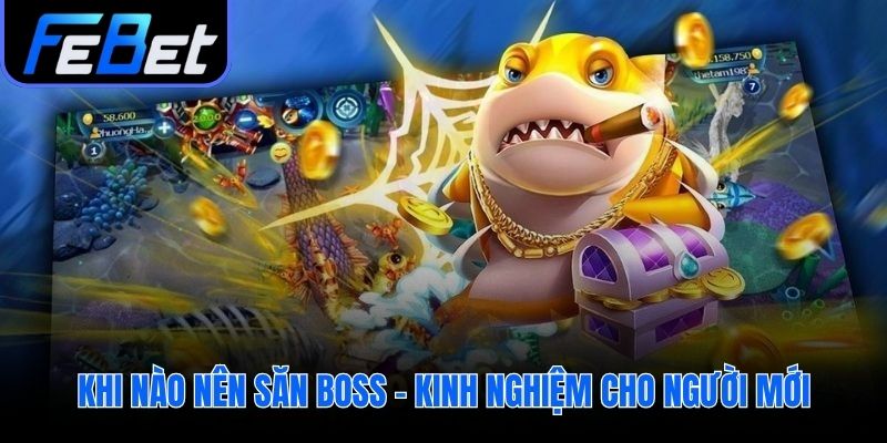 Thời điểm và điều kiện phù hợp để người mới săn Boss