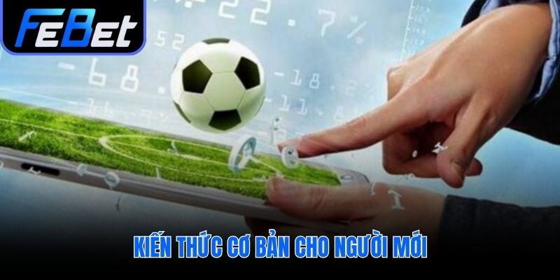 Mẹo cược thể thao online bắt đầu từ các thuật ngữ cơ bản