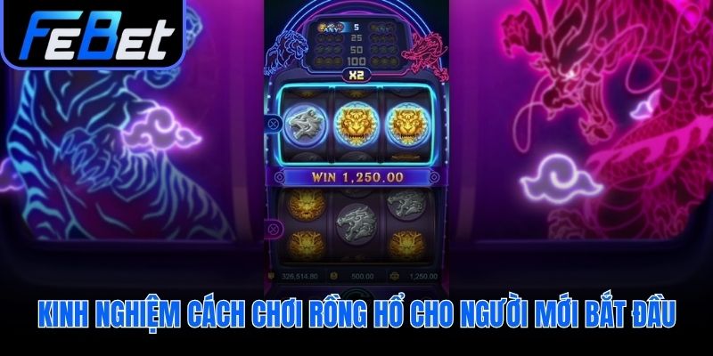 Kinh nghiệm cách chơi rồng hổ quản lý vốn và giữ tâm lý