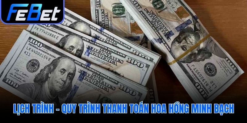 Lịch trình thanh toán hoa hồng rõ ràng và minh bạch