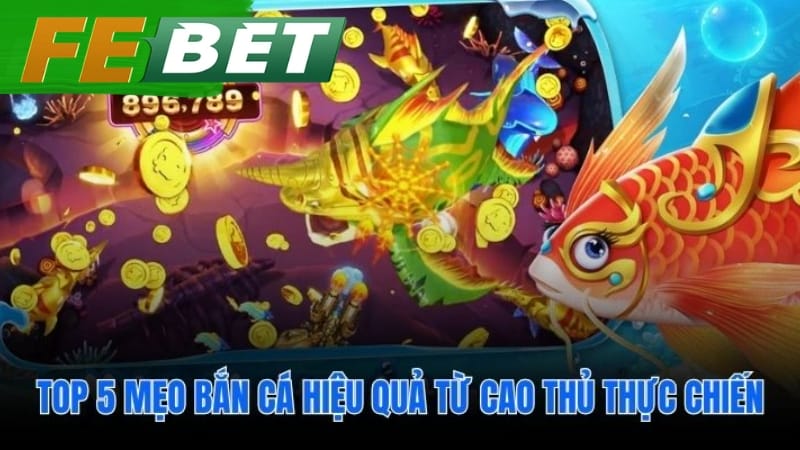 Các mẹo bắn cá được kiểm chứng giúp tối ưu từng viên đạn