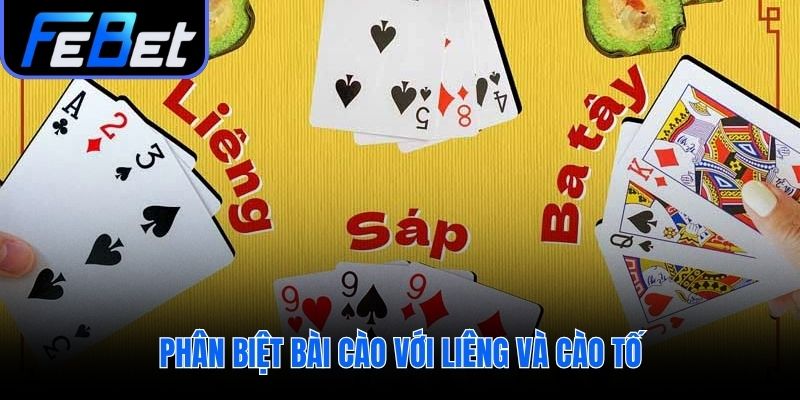 Cách chơi bài cào khác Liêng và Cào Tố ở vòng tố cược