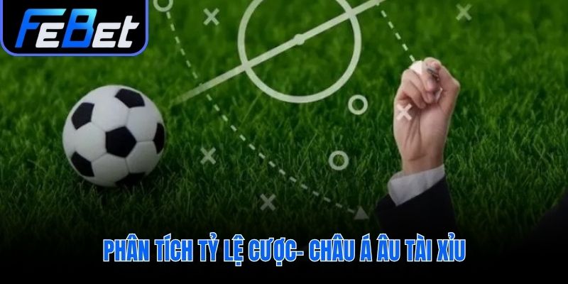 Soi kèo bóng đá qua biến động các tỷ lệ cược chính