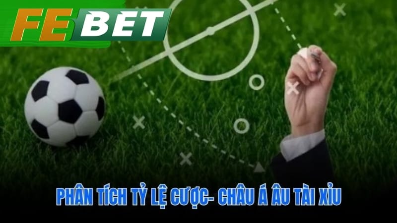 Soi kèo bóng đá qua biến động các tỷ lệ cược chính