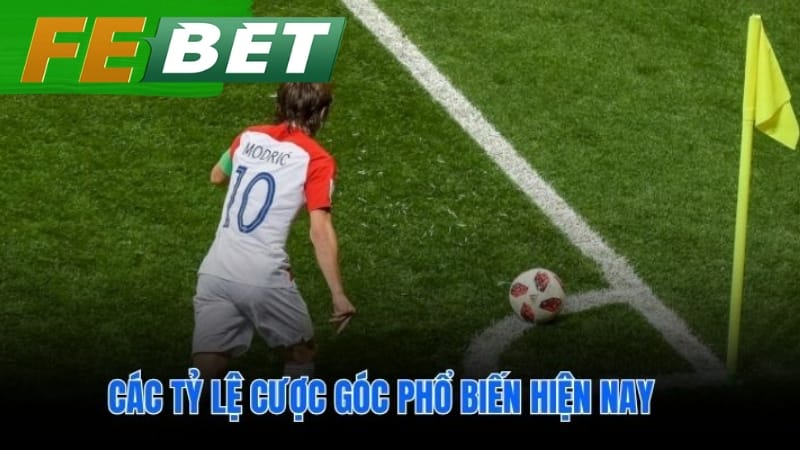 Phân biệt kèo Tài Xỉu Chấp và 1X2 góc