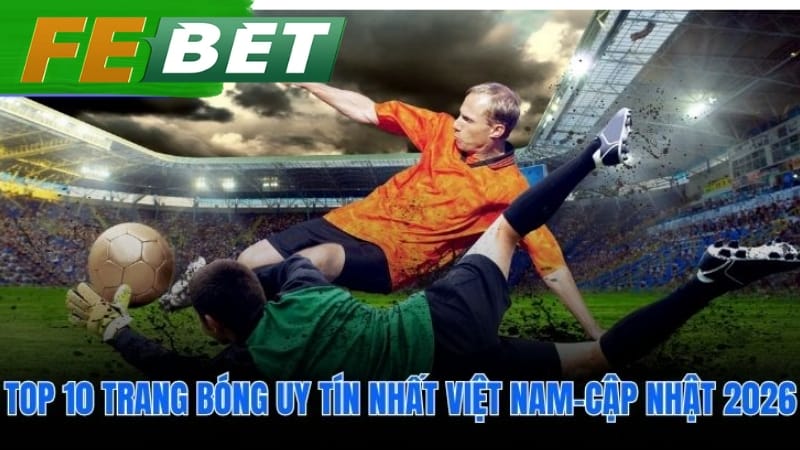 Bảng so sánh trực quan các lựa chọn hàng đầu hiện nay