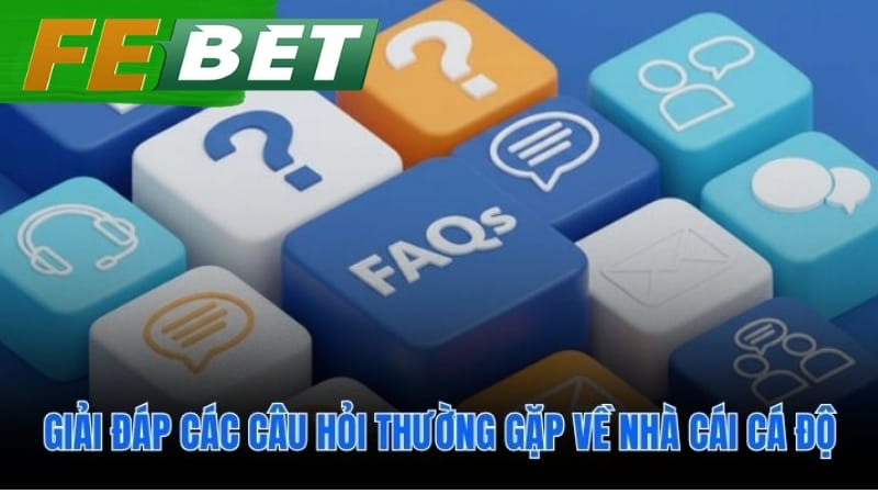 Trả lời những câu hỏi thường gặp giúp người chơi tự tin