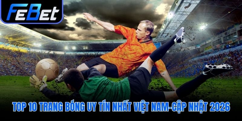 Bảng so sánh trực quan các lựa chọn hàng đầu hiện nay