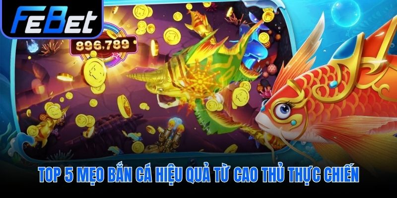 Các mẹo bắn cá được kiểm chứng giúp tối ưu từng viên đạn