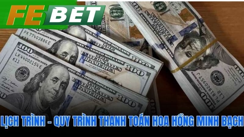 Lịch Trình - Quy Trình Thanh Toán Hoa Hồng Minh Bạch