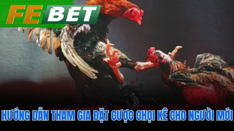 Hướng dẫn đặt cược nhanh chóng qua bốn bước đơn giản