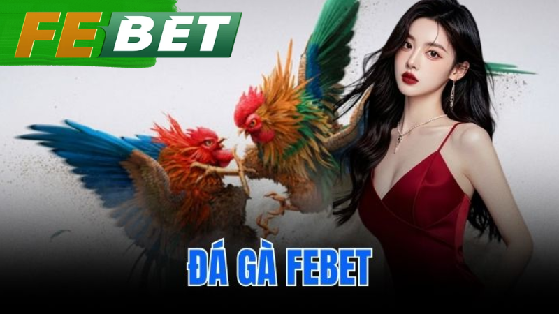 Đá Gà febet
